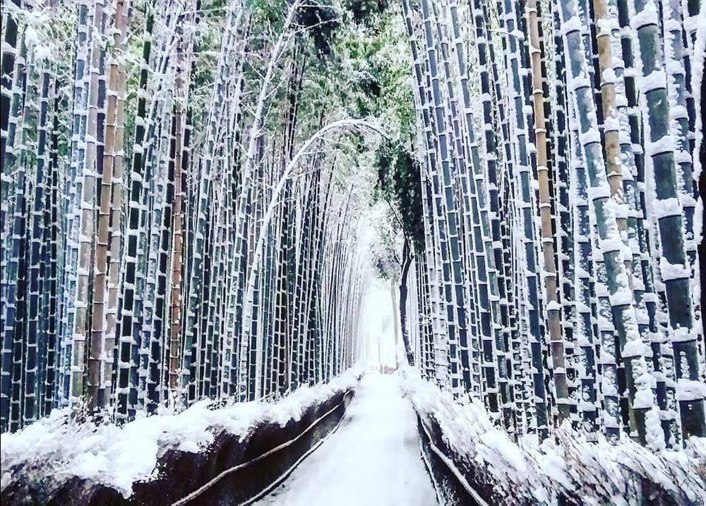 kyoto-japan-snow-winter-3.jpg